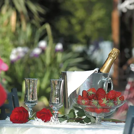 Hotel Castello Modena